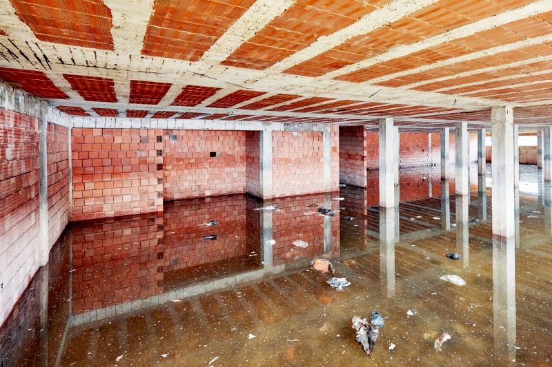 Basement Water Cleanup in Santa Rosa, CA